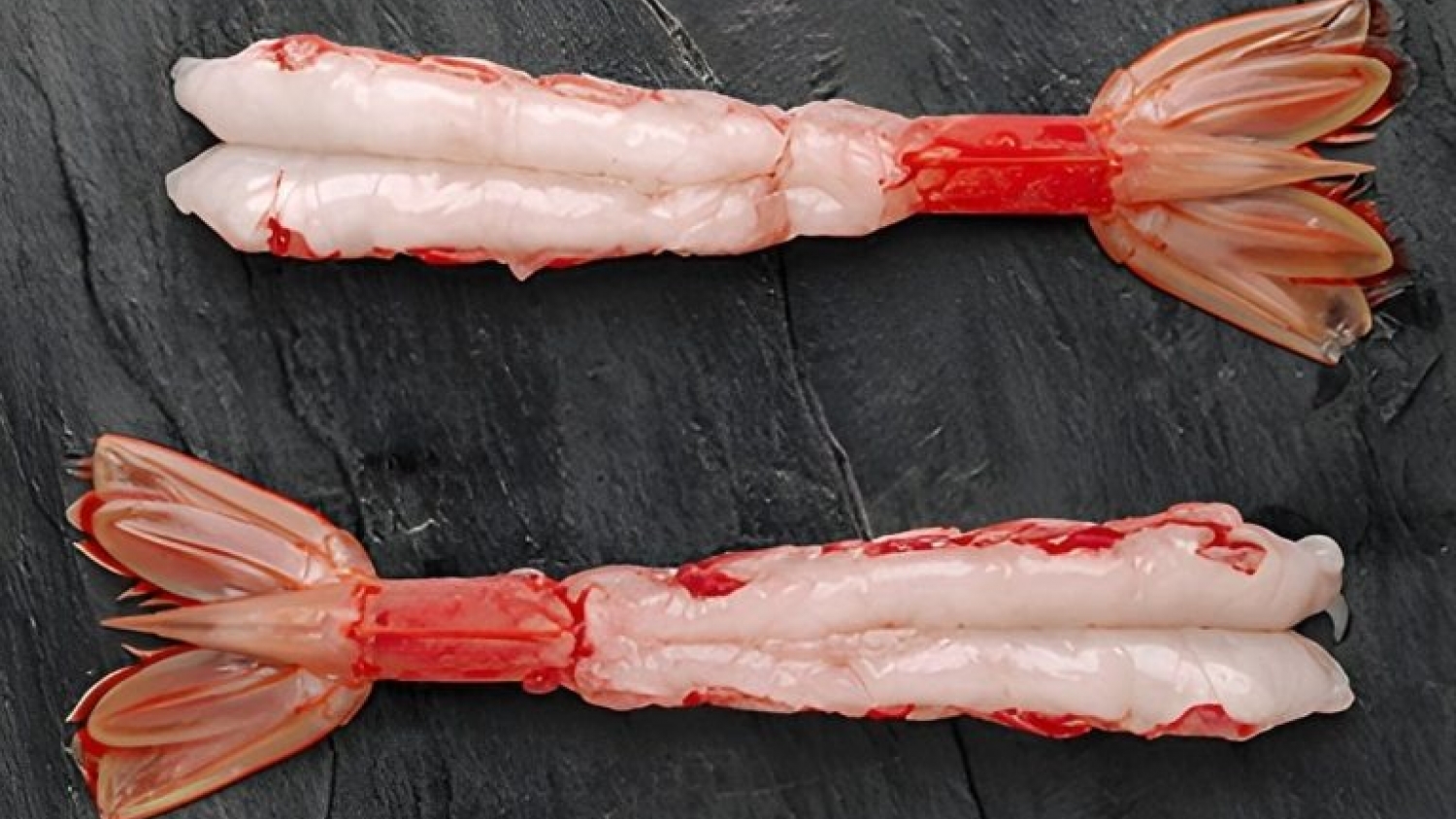 El langostino reconfigura el mapa pesquero: Mar del Plata gana protagonismo y crece el debate por los costos portuarios