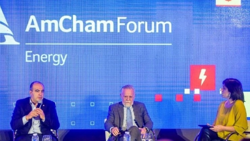 Tierra del Fuego expuso sobre los avances del proyecto Fénix en el evento de Amcham Argentina