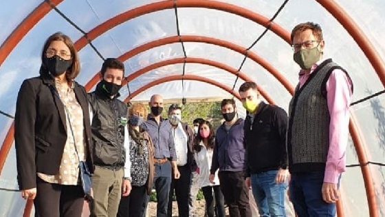 El programa Invernaderos suma nuevos espacios de aprendizaje en el Valle Medio y Río Colorado