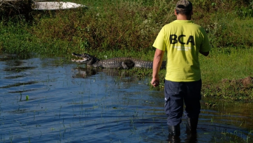 Ambiente fiscalizó criaderos de fauna silvestre en la provincia de Corrientes