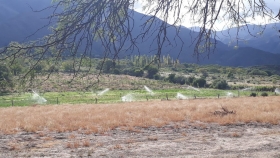 Ambiente Nación avanza en la lucha contra la desertificación en La Rioja