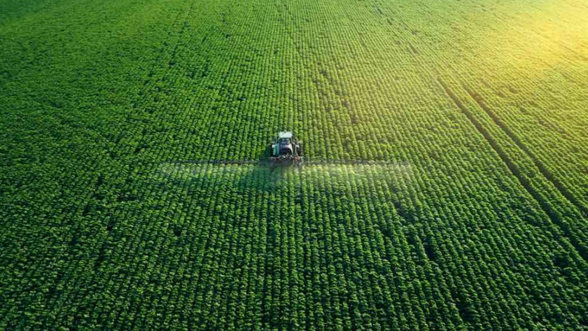Creación de un sector agrícola seguro, protegido y sostenible en los países asiáticos