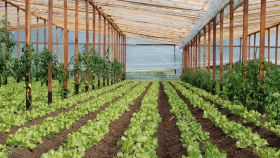 Aprueban proyectos para el sector hortícola en Chaco