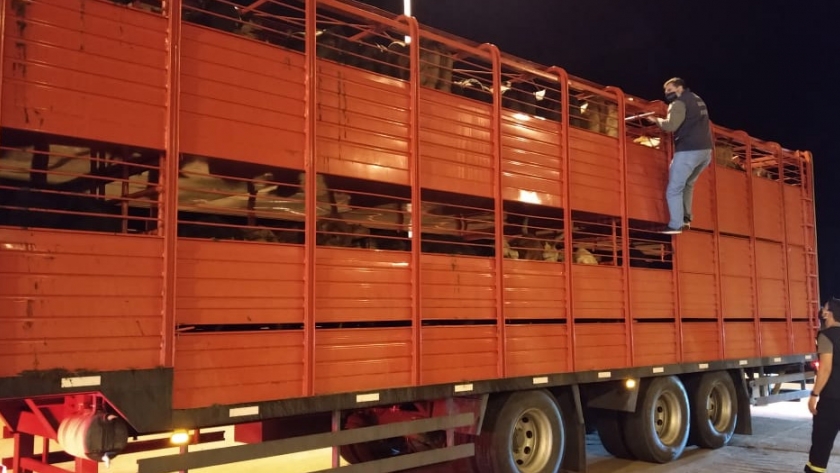 Corrientes-Misiones: continúan las acciones de prevención en la frontera norte