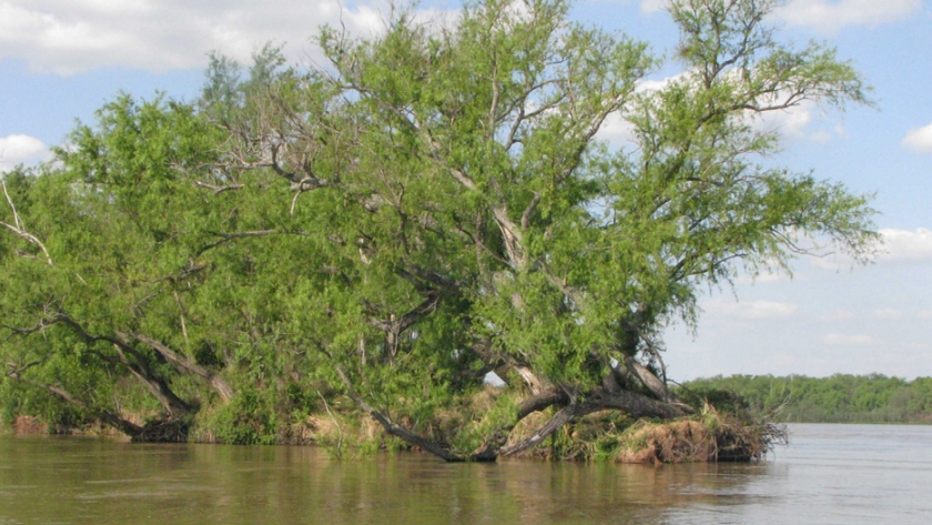 Ambiente inició las Jornadas nacionales de administradores de sitios Ramsar