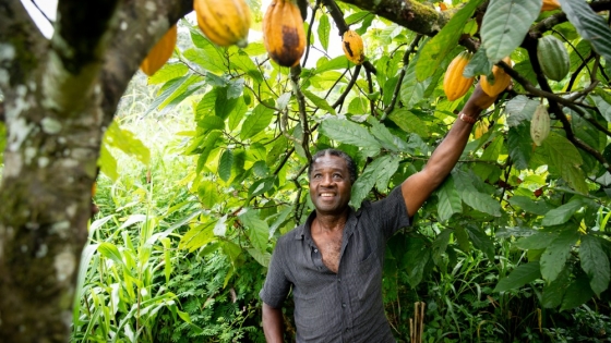 $14M Investment Kicks Off $200M African Smallholder Finance Initiative