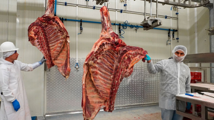 Colombia: Carne de Urabá tendrá sello de calidad para la exportación