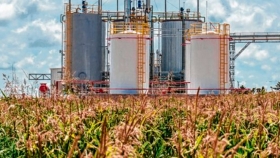 Biocombustibles: una herramienta clave para una nueva matriz energética y el desarrollo de la agroindustria argentina