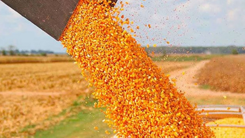 Agricultura actualiza el Monitor de Estimaciones Agrícolas