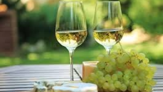 Torrontés, el vino blanco argentino que conquista el mundo desde el norte