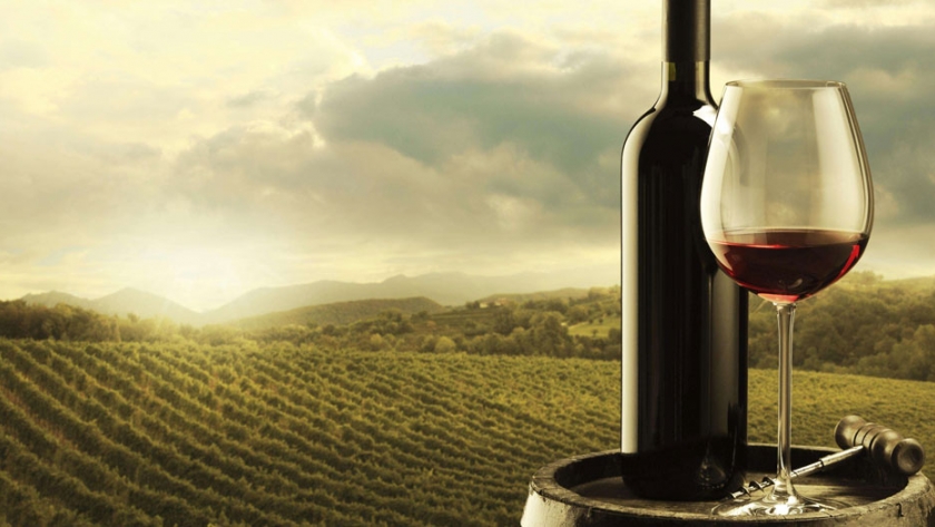 Destacan el potencial de los vinos sanjuaninos en el mercado chino