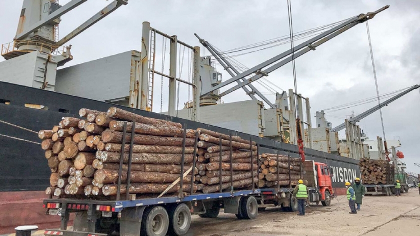 Los puertos entrerrianos cargarán dos ultramarinos