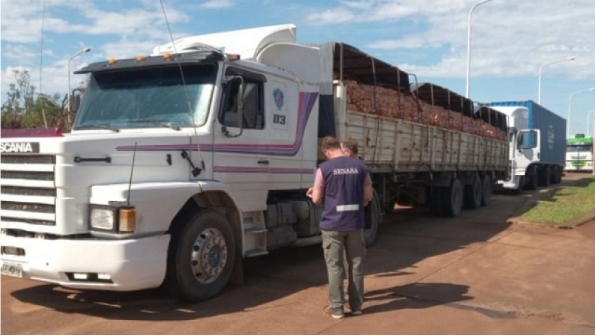 Creció un 170% el control en ruta a transportes de animales vivos y alimentos