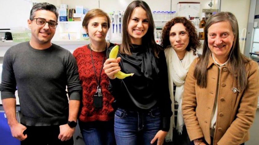 Cáscaras de banana para limpiar aguas con metales pesados