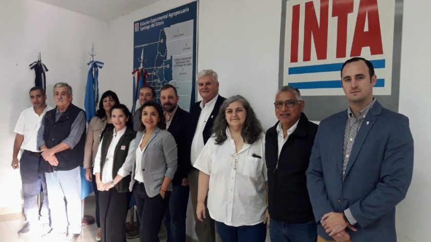 El Comité Consultivo Internacional del Algodón en INTA Santiago
