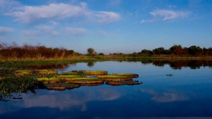 Cruces entre ruralistas y ambientalistas por un nuevo parque nacional en Santa Fe: Aves Argentinas sale en defensa del proyecto Jaaukanigás