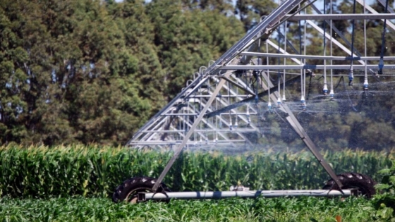 Régimen de Medianas Inversiones: los beneficios fiscales y laborales que impactarán en el agro