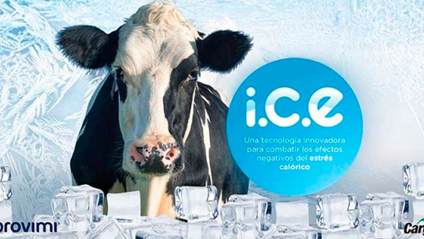 Nueva tecnología desarrollada para combatir los efectos negativos del estrés calórico