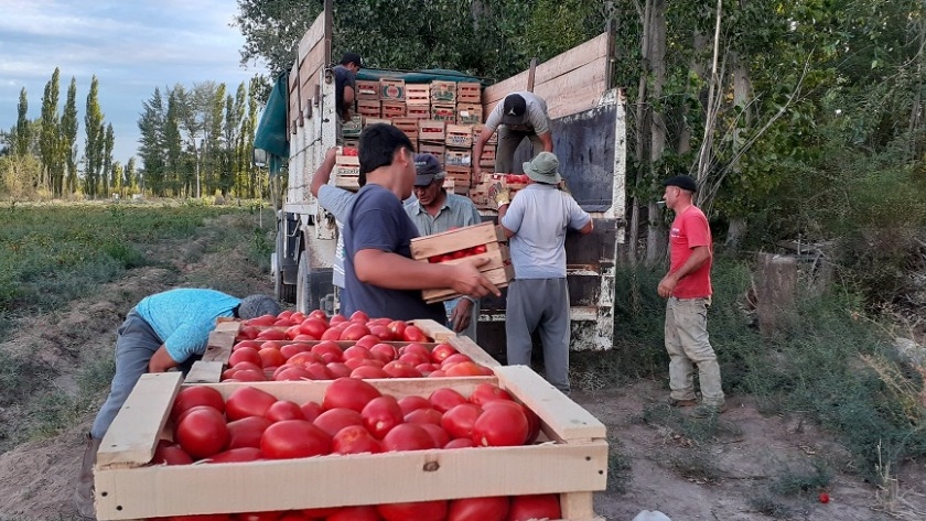 25 de Mayo: el EPRC acompañó logísticamente el trabajo de productores