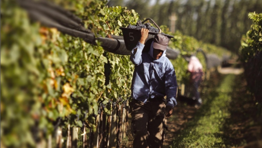 Trabajo Agro-Vitícola estacional: Problemas y soluciones en torno a la registración
