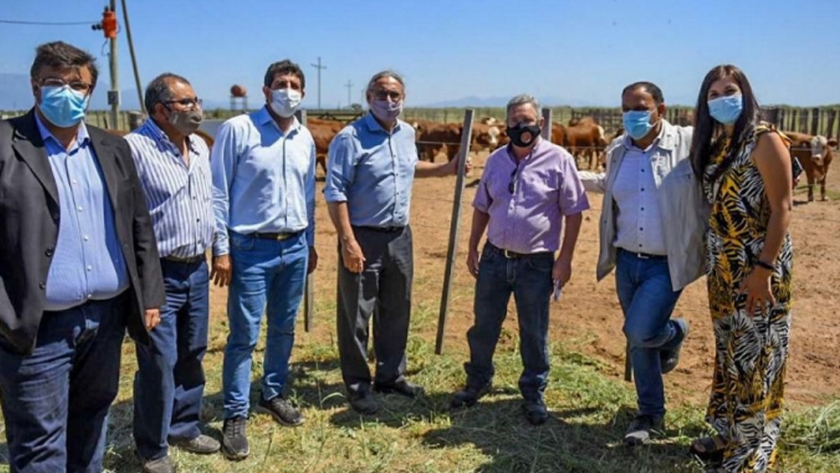 La Rioja apuesta a la producción ganadera con múltiples inversiones