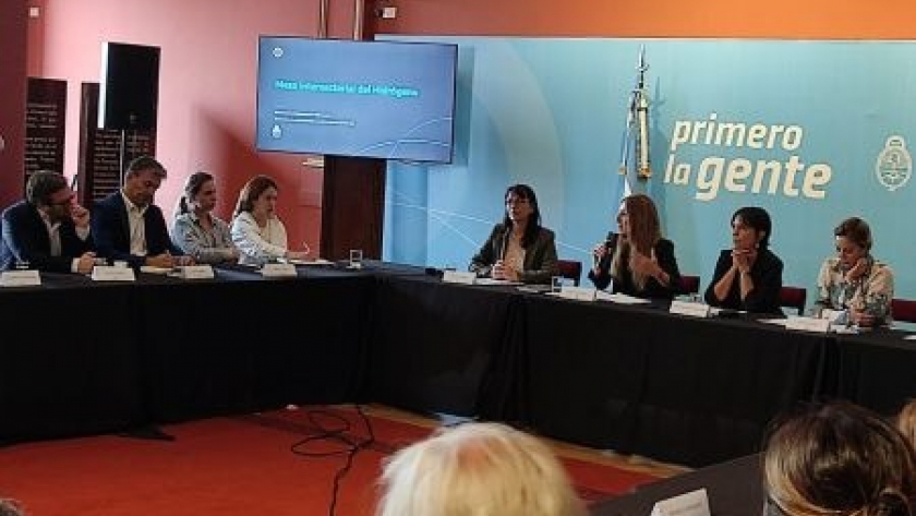 Santa Cruz participó de la primera reunión de la Mesa Intersectorial del Hidrógeno