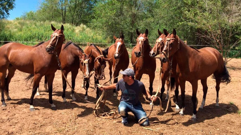 "La clonación fue toda una revolución para el polo argentino y del mundo"