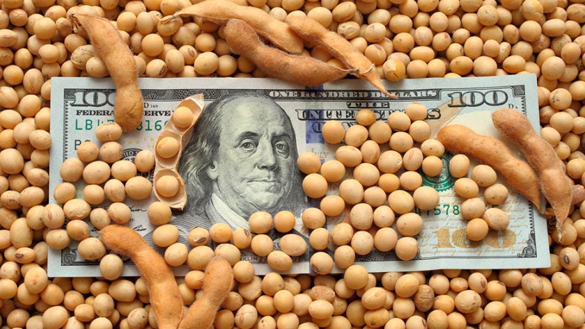 Por qué el restablecimiento de la economía argentina depende de las exportaciones del agro