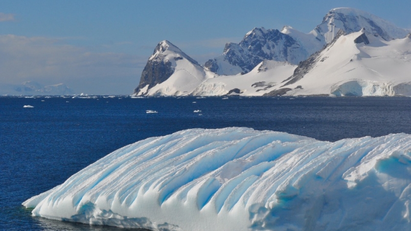 La Argentina celebra los 40 años de la convención sobre la conservación de los recursos vivos marinos antárticos