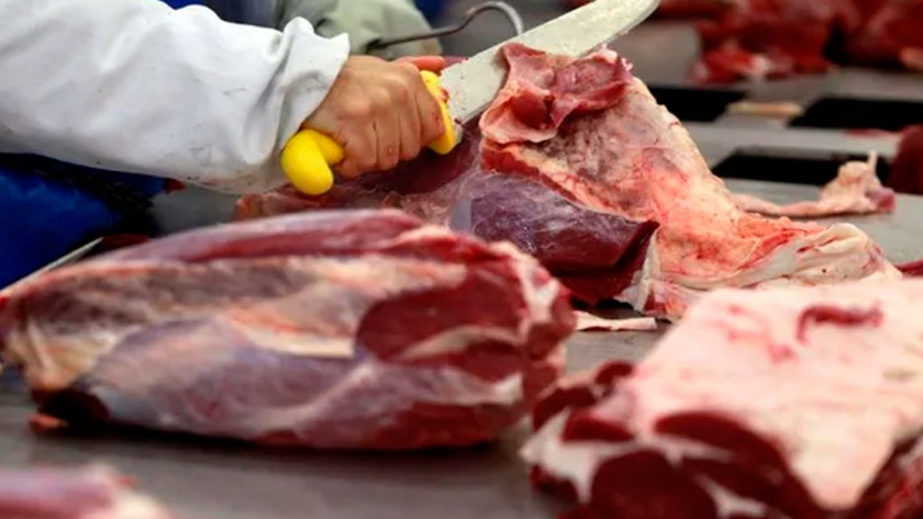 Profunda preocupación de frigoríficos exportadores por las detecciones de Covid-19 en carne a China