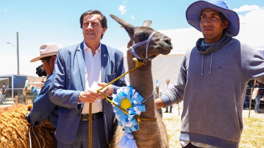 Sadir ponderó él intercambio de experiencias que posibilitó la feria ganadera de Camélidos