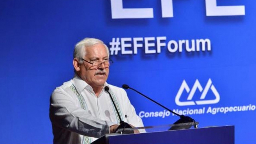 México destina 1,1 millones de dólares en control de langosta centroamericana