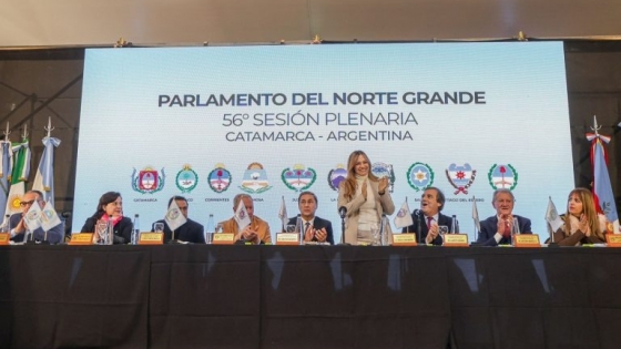 El Parlamento del Norte Grande rechaza el ajuste nacional y defiende el desarrollo regional
