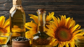 El complejo girasolero marca un mes histórico con fuerte impulso industrial y comercial