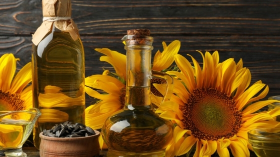 El complejo girasolero marca un mes histórico con fuerte impulso industrial y comercial