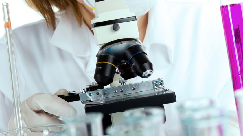 Lanzaron convocatoria para investigaciones orientadas a la agroindustria y alimentos