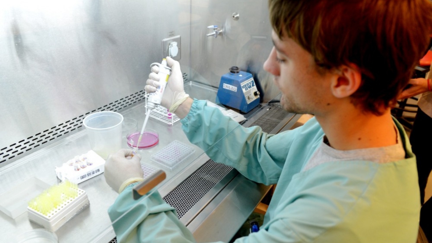 Récord histórico en biotecnología agropecuaria: Argentina autorizó 38 desarrollos transgénicos en dos años