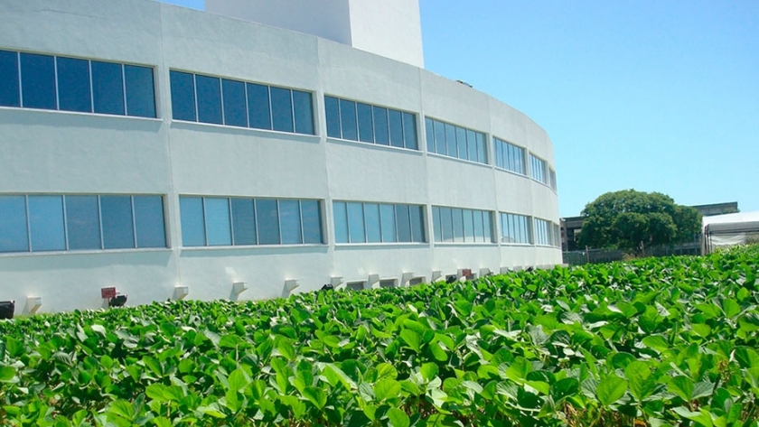 Bioceres cerró el 2019 con un aumento en sus ingresos