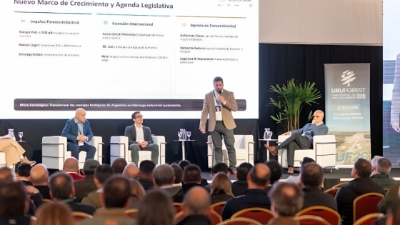 Industria forestal argentina: oportunidades frente al Cono Sur