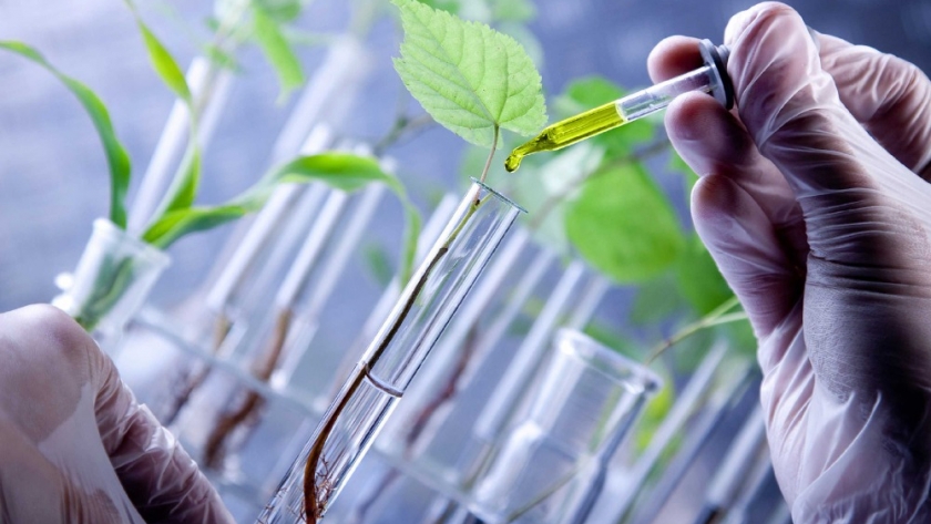 Biotecnología: Innovación al servicio de la productividad