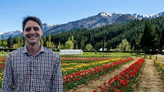Tulipanes en Huinganco: cómo crece la producción en Neuquén