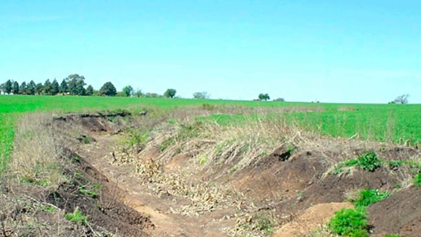 Pérdidas millonarias en los suelos argentinos