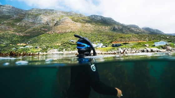 La guía del documentalista Craig Foster sobre las aventuras submarinas más épicas de Ciudad del Cabo