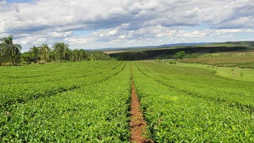 Dos nuevas empresas obtienen el sello de Calidad "Alimentos Argentinos, una Elección Natural"