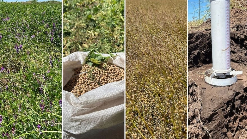 Innovación y sostenibilidad: los desafíos de la agricultura de la mano de Aapresid