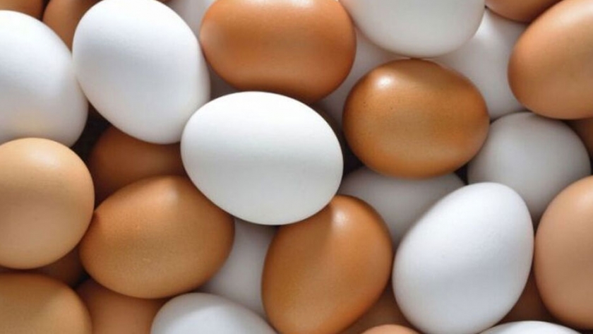 Riacho aportó casi 100 mil huevos caseros a Nutrir en dos meses