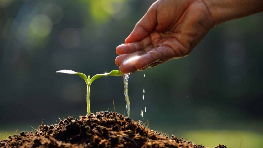 Lanzan alianza global que apunta a “descarbonizar” la agricultura y generar una nueva fuente de ingresos para los productores