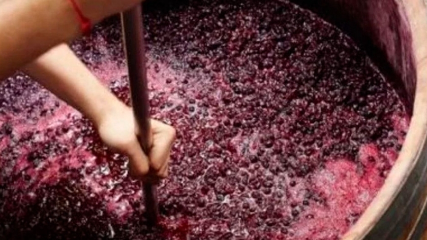 La UNLP patenta un jarabe de los desechos del jugo de uva 