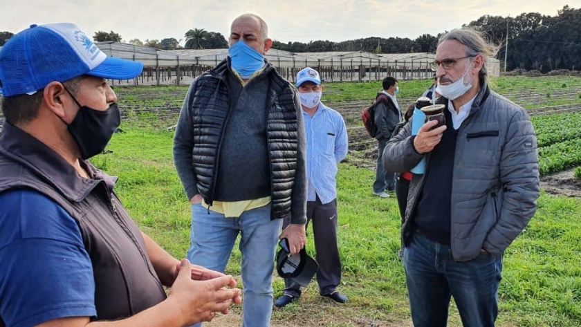 Basterra recorrió un emprendimiento hortícola platense y entregó semillas a productores