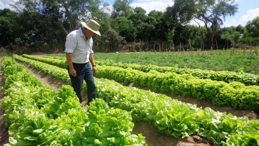 El IDR hizo un diagnóstico sobre el uso de buenas prácticas agrícolas en la horticultura mendocina